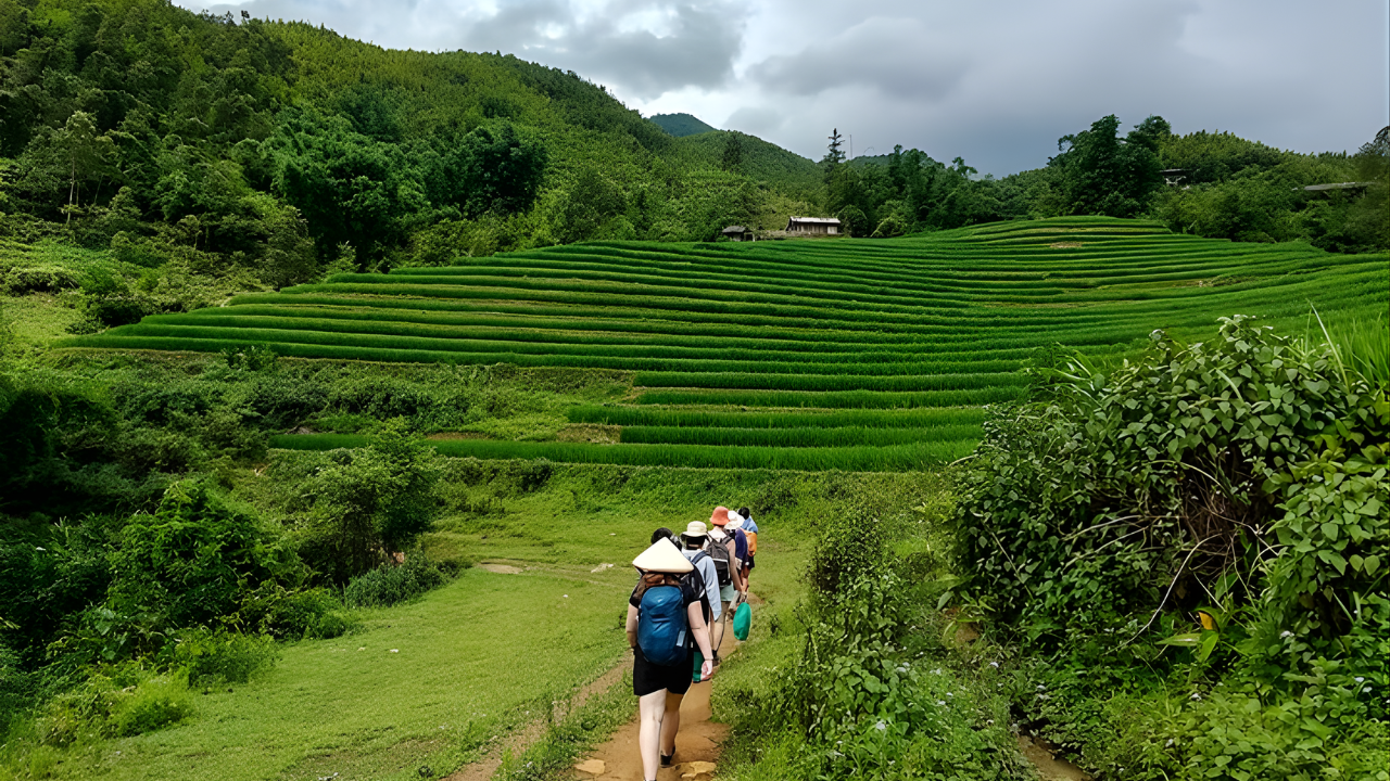 Khám Phá Tả Van – Rừng Tre & Bản Làng